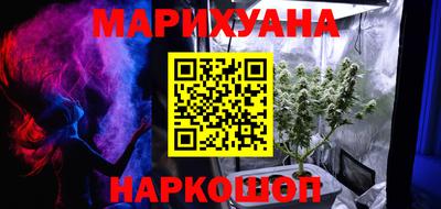 молекула духа Будённовск