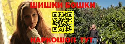 молекула духа Будённовск