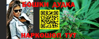 молекула духа Будённовск