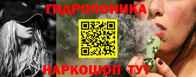молекула духа Будённовск