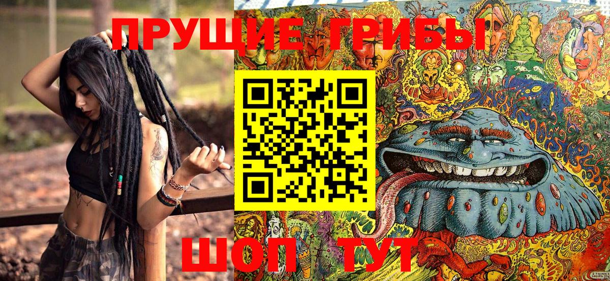 Кострома  Псилоцибиновые грибы мухоморы  Вход с VPN 